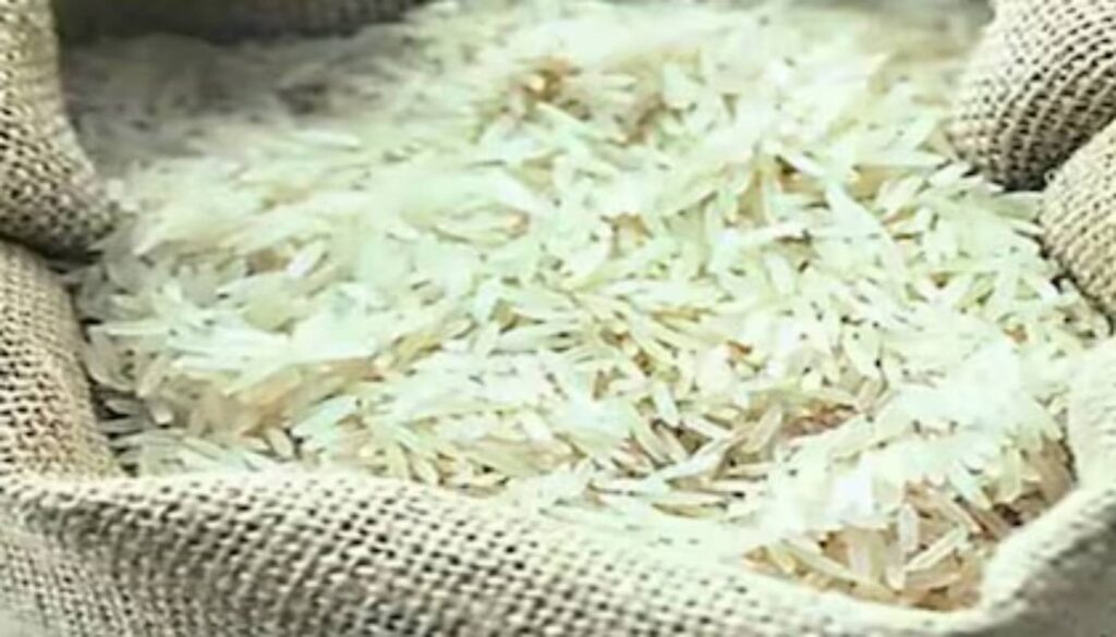 Basmati Rice Exports