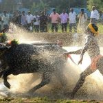 #Kambala