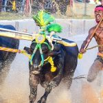 bengaluru kambala