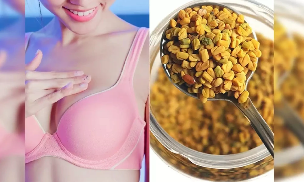 Benefits of Fenugreek Seeds