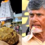 Tirupati laddu raw