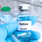 World Rabies Day 2024