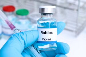 World Rabies Day 2024