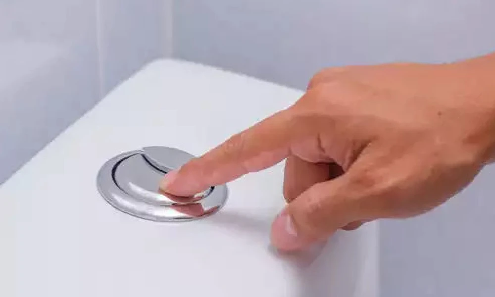 Toilet Button