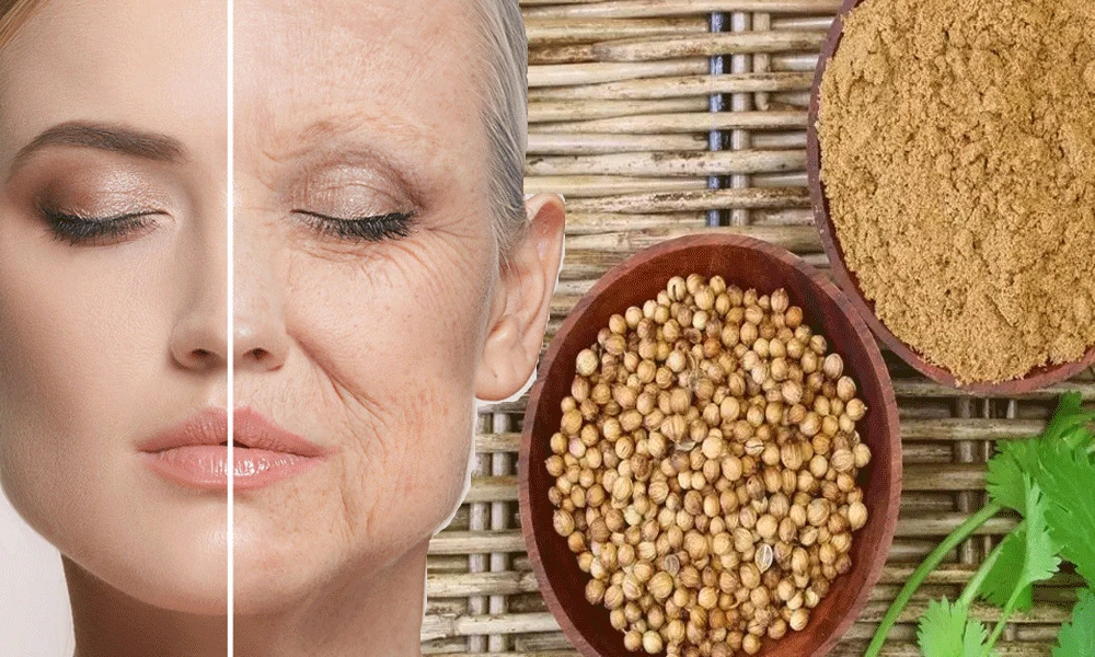 Coriander Seeds for Skin