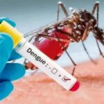 Dengue