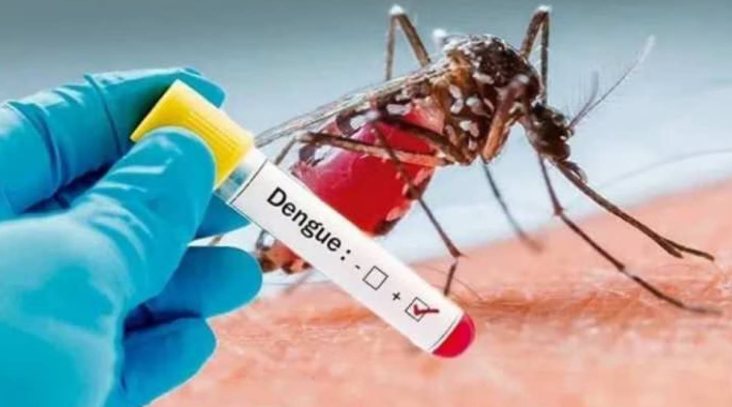 Dengue