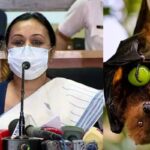 nipah virus kerala news