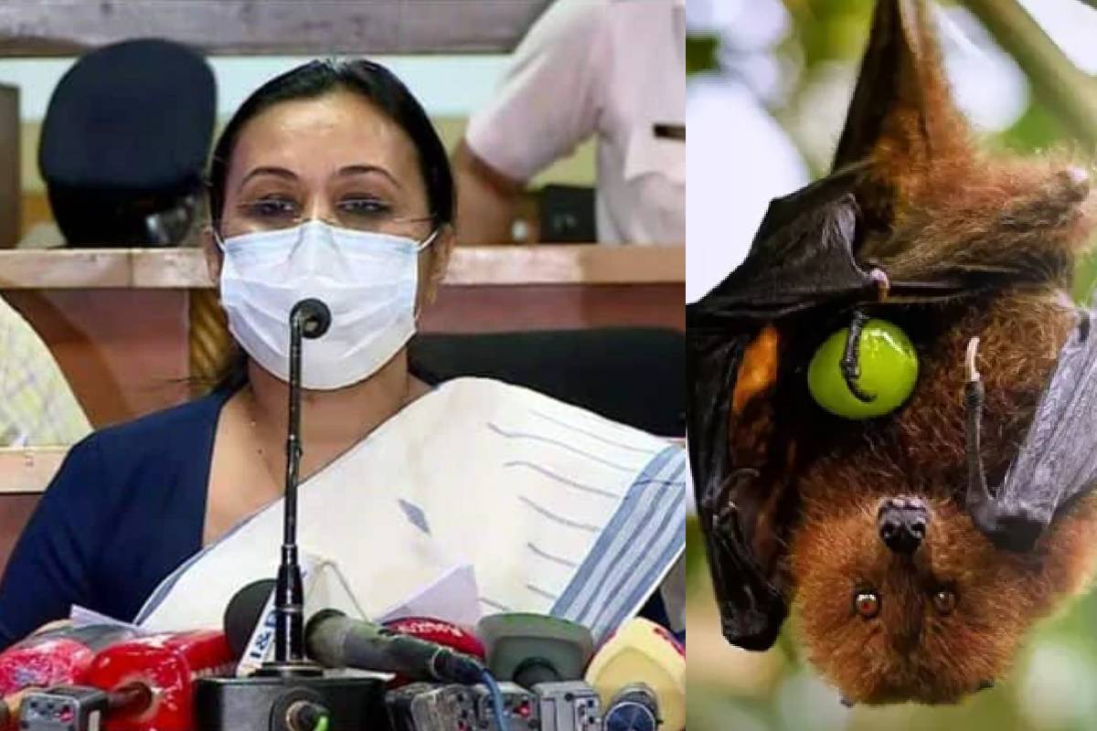 nipah virus kerala news