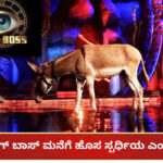 Donkey in Bigg Boss