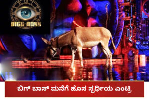 Donkey in Bigg Boss