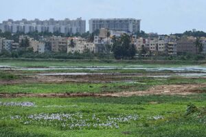 bengaluru lakes