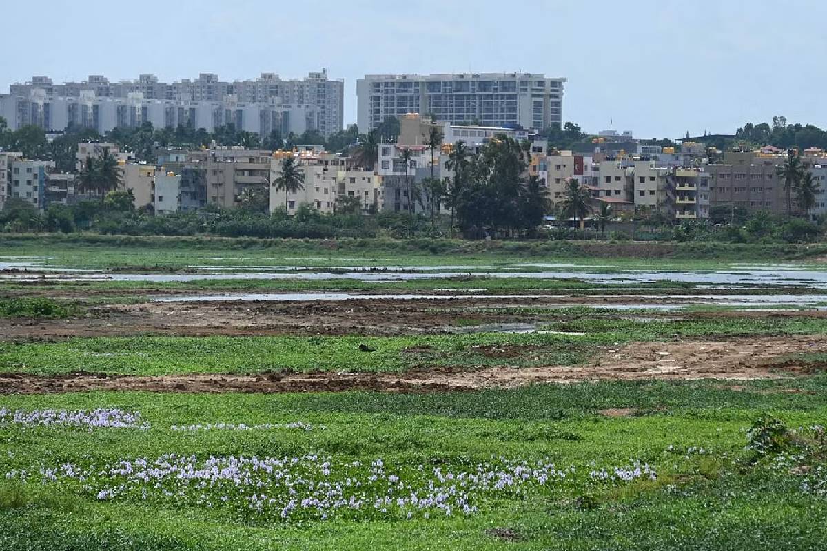 bengaluru lakes