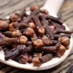 Clove Benefits