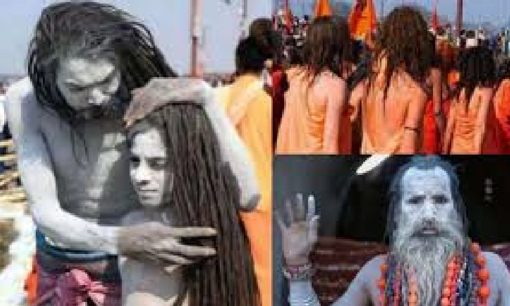 Naga Sadhu