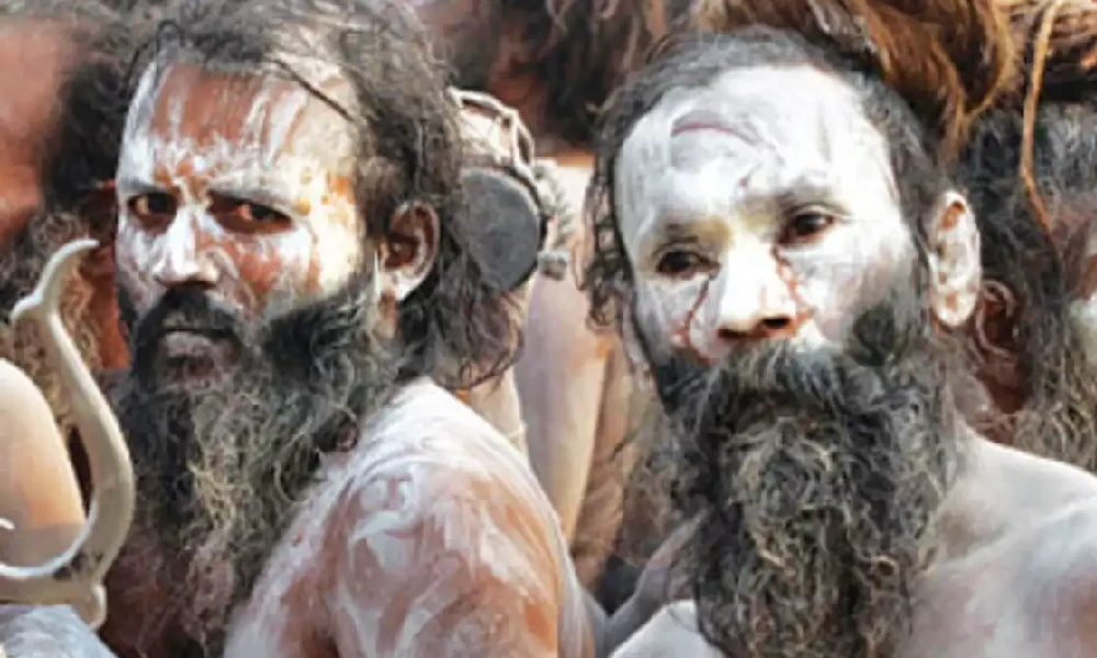 Naga Sadhu