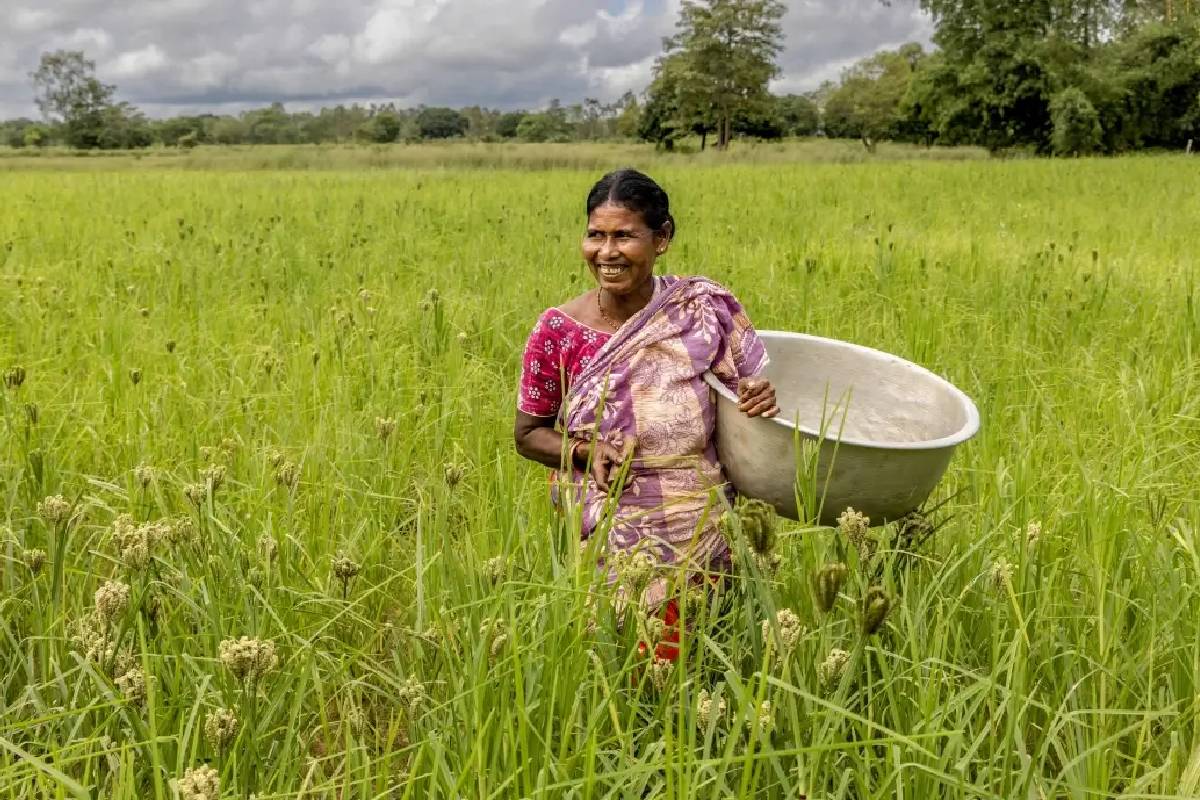 pm kisan samman