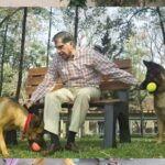 ratan tata dogs