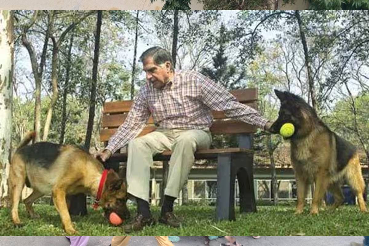 ratan tata dogs