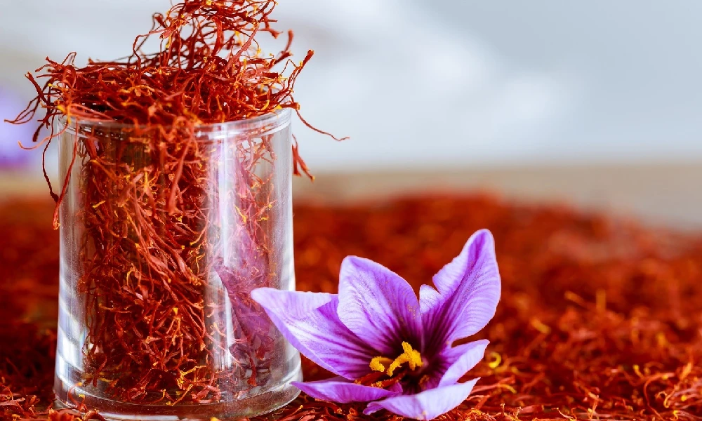 Saffron Benefits