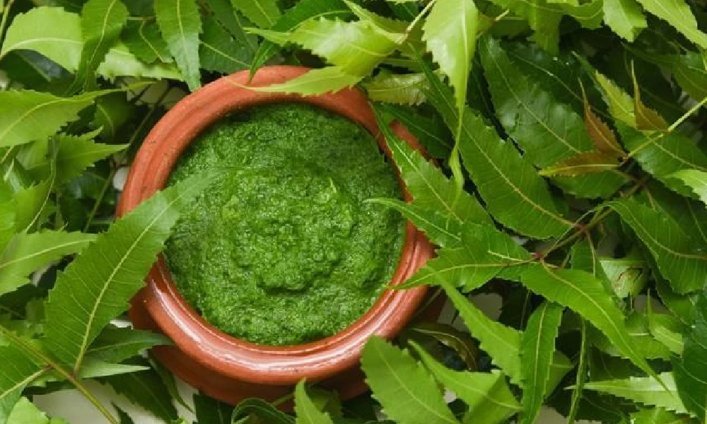 Neem Leaf