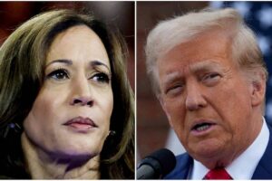 trump kamala