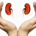 Kidney Health