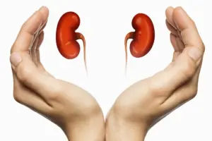 Kidney Health