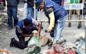 Kolkata Horror