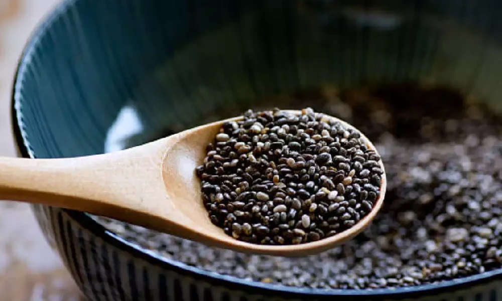 Chia Seeds Benefits