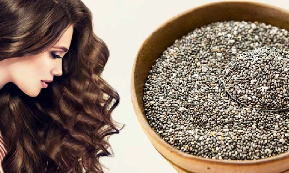 Chia Seeds Benefits