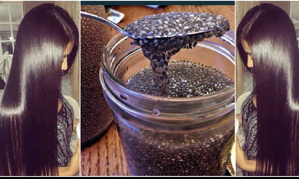 Chia Seeds Benefits