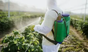 Pesticide Effect