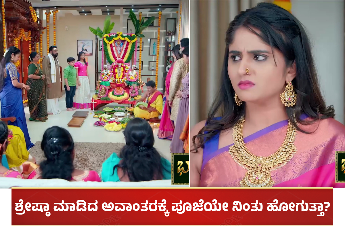 Bhagya Lakshmi Serial (10)