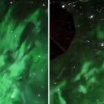 aurora viral video