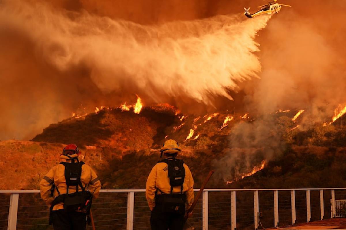 Los Angeles Wildfire