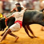 jallikattu