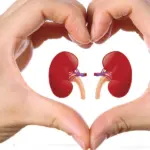 Kidney Problem