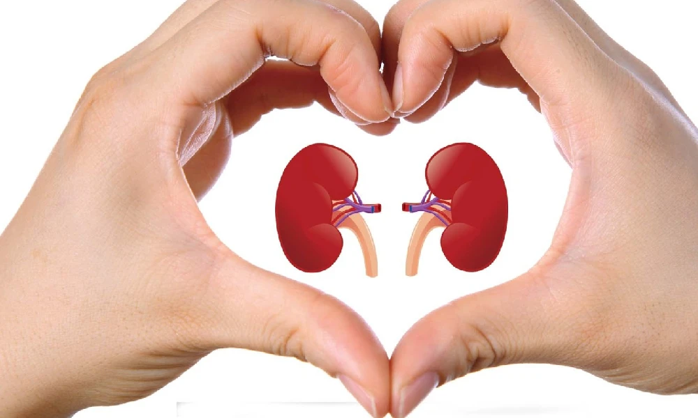 Kidney Problem