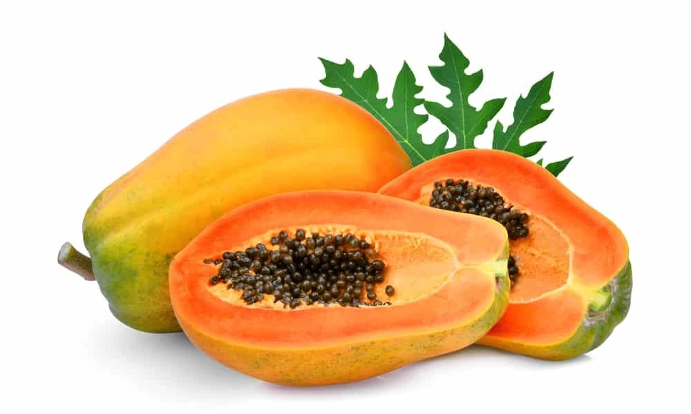 Papaya Benefits