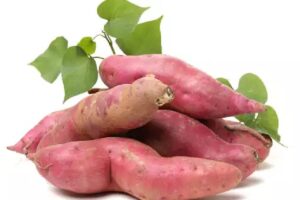 sweet potato