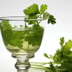 Coriander Water Benefits